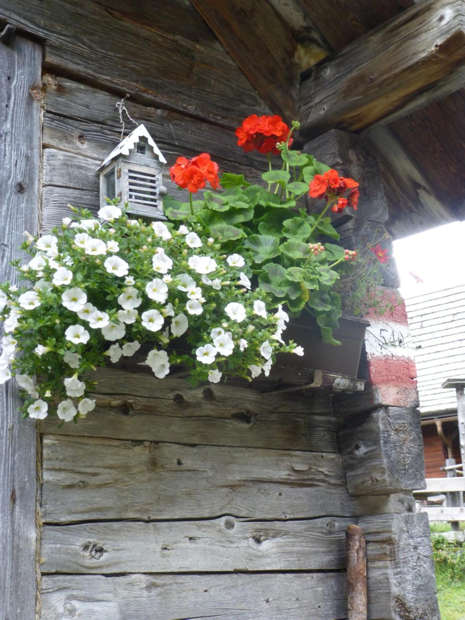 B&B,Bergheimat Oase Irschen Kültér fotó